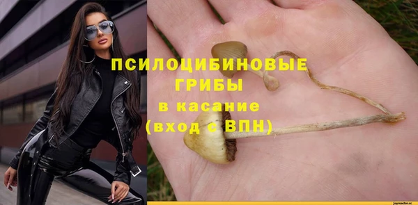 тгк Карталы