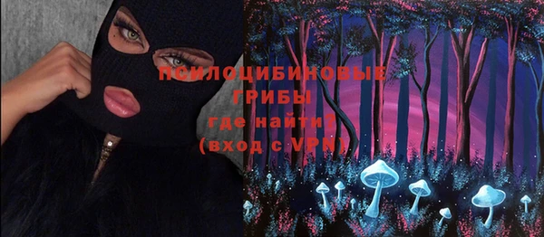 тгк Карталы