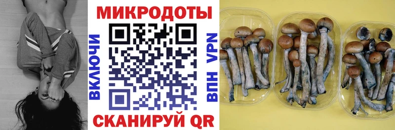 Галлюциногенные грибы ЛСД  Купить  Приморск 